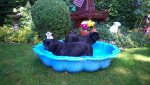 IMG-20150701-WA0000.jpg