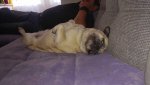 Charly Sofa.jpg