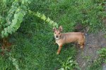 DSC03196.jpg