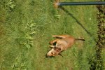 DSC03207.jpg