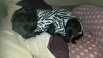 20151023_200858.jpg