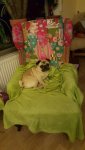 IMG-20160130-WA0018.jpg