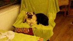 IMG-20160131-WA0015.jpg