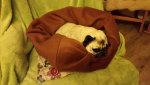 IMG-20160203-WA0006.jpg