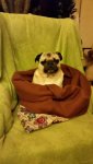 IMG-20160203-WA0005.jpg