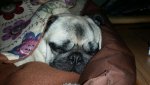 IMG-20160207-WA0032.jpg