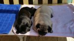 IMG-20160421-WA0008.jpg