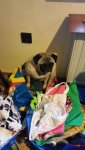 IMG-20160427-WA0001.jpg