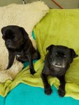 IMG-20160628-WA0021.jpg