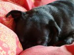 IMG-20160628-WA0010.jpg