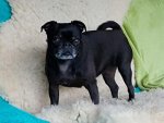 IMG-20160628-WA0001.jpg