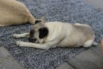 IMG_7539.jpg