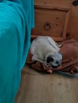 IMG-20160806-WA0015.jpg