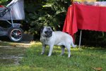 IMG_8675.jpg