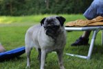IMG_8836.jpg