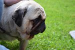 DSC_0022.jpg