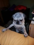 IMG-20160829-WA0021.jpg