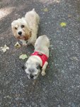 IMG-20160912-WA0026.jpg