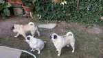 20160921_174529_resized.jpg