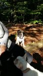 20161002_111630_resized.jpg