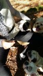 20161002_111534_resized.jpg