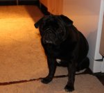 IMG_2363_1.jpg