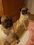20161113_205534.jpg