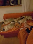 20161123_190828.jpg