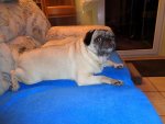 DSC00054.jpg