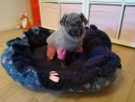 IMG_20170105_134553.jpg
