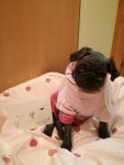 IMG_20170113_082648.jpg
