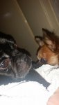 20170207_175603.jpg