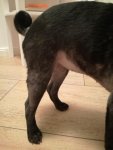 IMG_20170212_191118.jpg