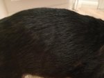 IMG_20170212_191313.jpg