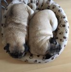 IMG-20170213-WA0003.jpg