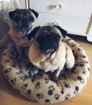 IMG-20170213-WA0002.jpg