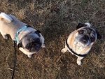 IMG-20170213-WA0001.jpg