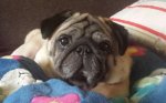 IMG-20170209-WA0002.jpg