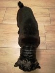 IMG_20170219_182928.jpg