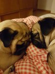 20170220_003624.jpg