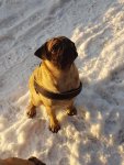 20170106_152227.jpg
