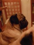 20170220_135408.jpg