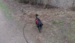 17093010_10208860078203770_559842088_o.jpg