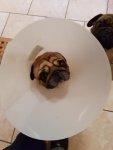 20170301_175611.jpg