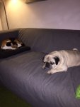 IMG_0418.JPG