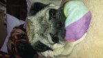 20170330_170615.jpg