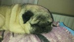 20170403_095739.jpg