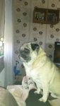 20170404_164035.jpg
