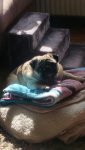 IMG-20170414-WA0001.jpg