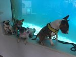 IMG-20170419-WA0026.jpg